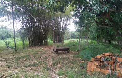 Imagem 5: Vende-se Fazenda com 80 Hectares, na região do olho d'água, com rio taquaral nos fund