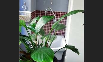 Imagem 6: Apartamento Penha