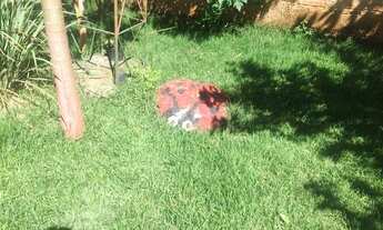 Imagem 3: Casa 3/4 Vila Maria, Aparecida de Goiânia