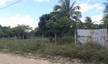 Imagem 4: Vendo troco terreno de granja 1000m da Lagoa do bom fim