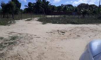 Imagem 5: Vendo granja no pq industrial de macaiba