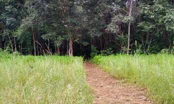 Imagem 6: Chácara 30 km Araguacema