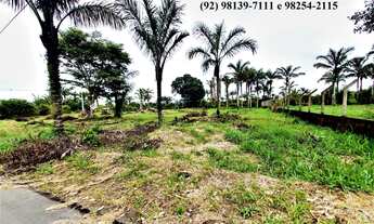 Imagem 3: Condomínio Janauary 3/Chácara/Terreno/Lote/ Iranduba, 1.500m²