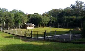 Imagem 4: CHÁCARA LINHA 40