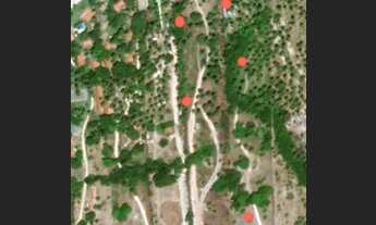 Imagem 7: CB- CARNEIROS LOTE BEIRA MAR COM 44000M2