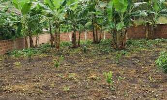 Imagem 2: Mini granja em lagoa seca