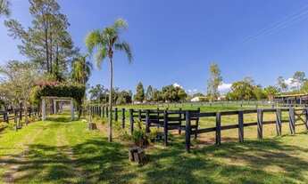 Imagem 7: Fazenda a Venda em Sarapuí SP