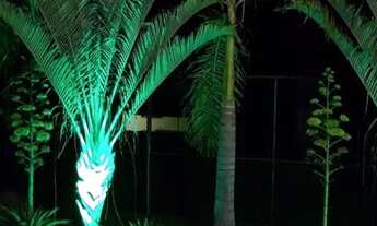 Imagem 2: Chácara próxima a Martinho campos. Rio São Francisco ao fundo