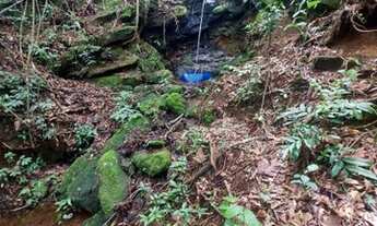 Imagem 5: Sítio em Bocaina MG