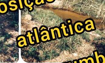 Imagem: Área verde Bacia Corumbatai