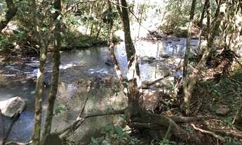 Imagem 2: 3 alqueires 350.000 o alqueire de terra