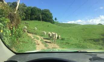 Imagem 3: Sitio em Tijucas do sul