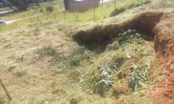 Imagem 6: Lote no Greenville