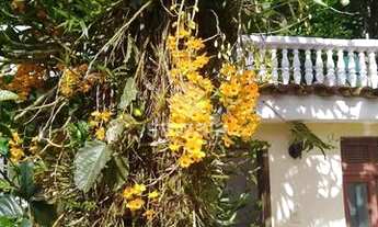 Imagem: Jacarepaguá