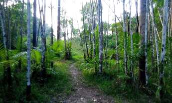 Imagem 2: Terreno 23 hectares