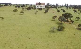 Imagem 5: Fazenda de Oportunidade em Bela Vista ! 22 Alqueires !