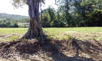 Imagem 6: Chácara em Aragoiania