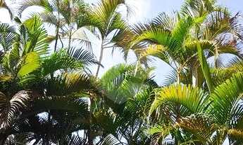 Imagem: Excelente sobrado Real Parque