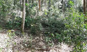 Imagem 6: Lote em condomínio de Macacos/Nova Lima