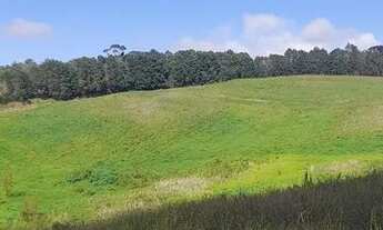 Imagem 3: Lote/Terreno para venda possui 500 metros quadrados em Centro - Cotia - SP