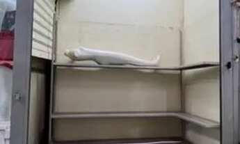 Imagem 1: Vendo Banca Galpão do Pequeno Empreendedor