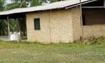 Imagem 7: Fazenda Agrícola, pista da Rodovia BR174, entre Km 60 e 63 com 3.900mts de fachada. 50.000