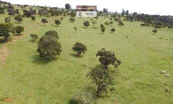 Imagem 6: Fazenda de Oportunidade em Bela Vista ! 22 Alqueires !