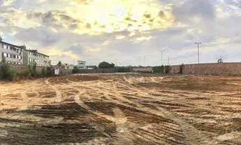 Imagem 2: Vendo / Alugo terreno 6.160m2 plano regular