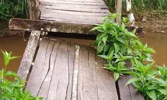 Imagem 3: VENDO ESSE SITIO EM CAPANEMA 82 MTS FRENTE,216 LAT.DIR, 211 LAT,ESQ,58 FUNDO