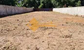 Imagem 6: Ao lado da via Estrutural