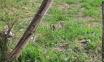 Imagem 3: Terreno 10x43 Terreno / lote com venda por R$50.000