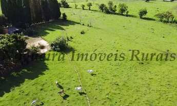 Imagem 6: Sítio com 5 alqueires, casa sede com 3 dormitórios (Nogueira Imóveis Rurais