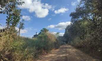 Imagem 6: Lindo sítio entre porto feliz e Itu, 7 km de terra ao asfalto.com 4 casas, 3 lagos, pasto