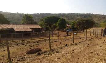 Imagem 3: OPORTUNIDADE EXTRA FAZENDA ! 65 ALQUEIRES REGIÃO DE CÓRREGO DO OURO