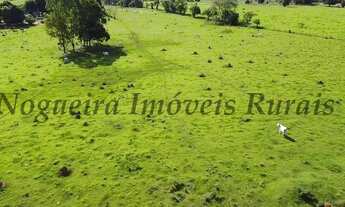 Imagem 4: Sítio com 5 alqueires, casa sede com 3 dormitórios (Nogueira Imóveis Rurais