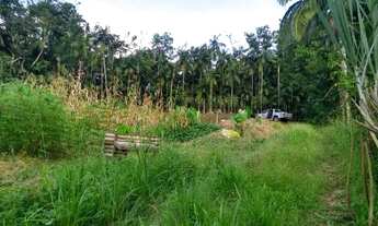 Imagem 7: Casa com terreno grande