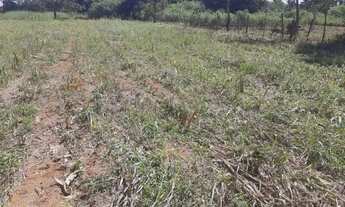 Imagem 7: Chácara de 3 Mil Metros na Rajadinha 1 - Toda Plana - Planaltina DF