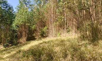 Imagem 7: Vendo terreno com 1000m² a 4km do centrinho do boa vista em Igarata-sp