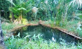 Imagem: Terreno 23 hectares