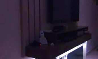 Imagem 3: Apartamento 56m 2 Dorm. Sem Condominio