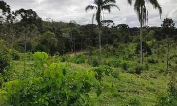Imagem 3: Terreno em campo alegre