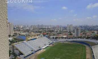 Imagem 4: Santo André - Apartamento Padrão - Vila América