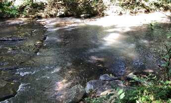 Imagem 5: 3 alqueires 350.000 o alqueire de terra