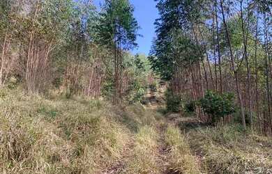 Imagem 7: Terreno com ótima topografia