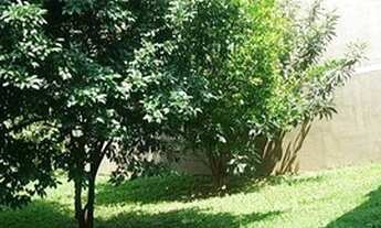 Imagem 2: Casa no Jabaquara Terreno de 585 mts