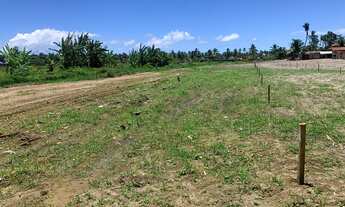 Imagem 2: Terrenos medindo 7x20=140 m2 em São Miguel dos Milagres!! loteamento regularizado!!