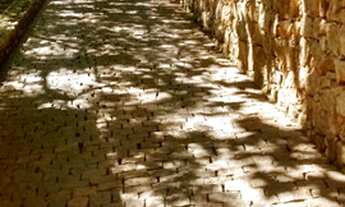 Imagem 2: 2.164M2 de área!! Belíssima Mansão plana com 789M2 , melhor local bairro!!