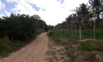 Imagem 3: Vendo troco terreno de granja 1000m da Lagoa do bom fim