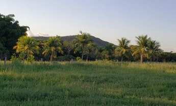 Imagem 5: Fazenda/Sítio/Chácara para venda possui 1146 hectares com 5 quartos