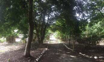 Imagem 5: Vila Rica - Itaboraí - Excelente Sítio! Ref. 391-L